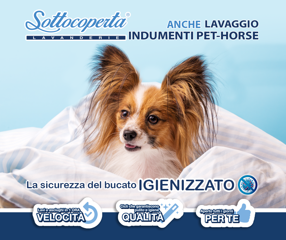 Fb Sottocoperta pet horse 2