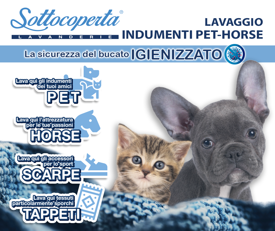 Sottocoperta pet