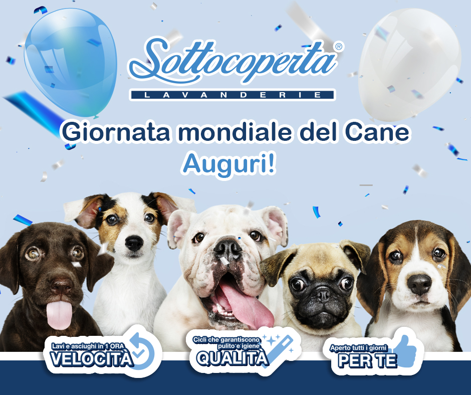 sottocoperta Giornata mondiale del cane