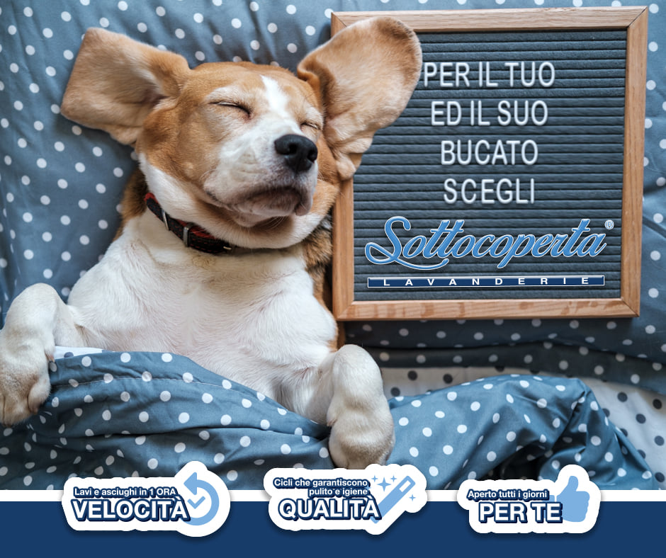 Itec_Lavanderie Sottocoperta Area Pet
